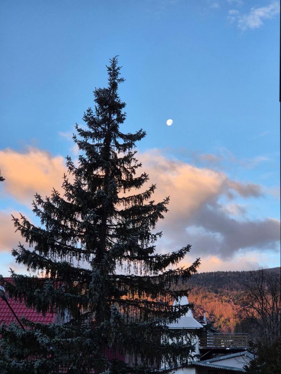 Готель "Yaro" Yaremtche Extérieur photo
